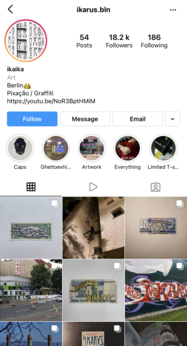 A screenshot of the IKARUS instagram profile