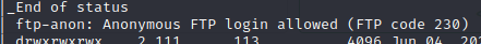 Anonymous FTP is allowed