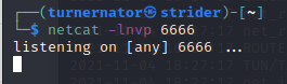 Netcat is listening
